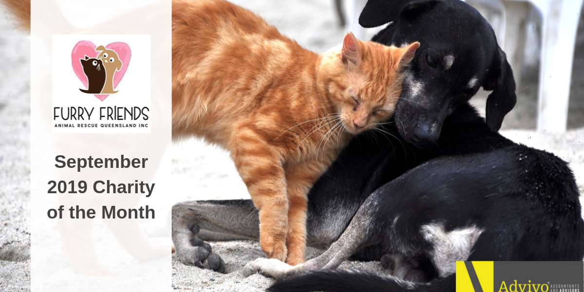 September 2019 Charity Furry Friends Animal Rescue QLD Advivo